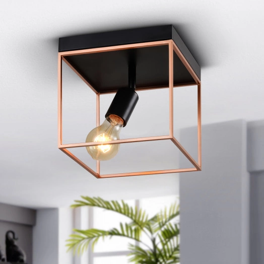 Светильник потолочный Rivoli Teresa 5085-201 1 х Е27 40 Вт лофт - кантри