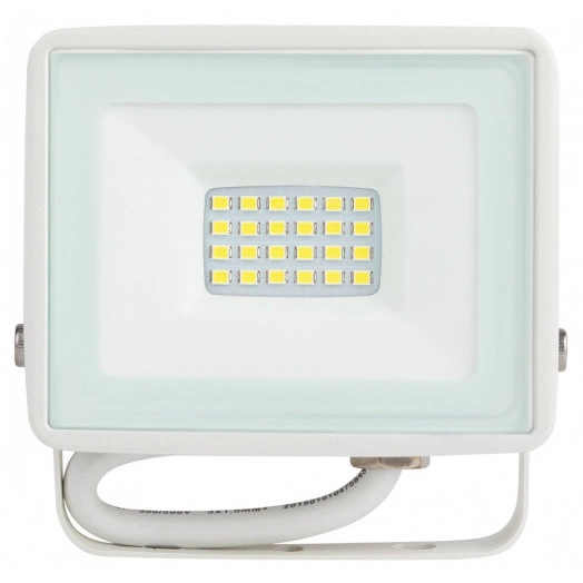 Прожектор светодиодный уличный LPR-023-W-65K-030 30Вт 6500K 2400Лм IP65 белый ЭРА