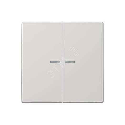 Клавиша 2-я для выключателей и кнопок  с окошком для подсветки. Серия LS990  Материал- дуропласт  Цвет- светло-серый