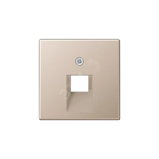 Накладка 1-ой телефонной/компютерной розетки  IAE/UAE (1 x 8-пол.)   Серия A500  Материал- дуропласт  Цвет- шампань