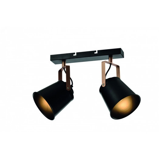 Светильник настенно-потолочный спот Rivoli Acuto 7015-702 2 х Е27 40 Вт поворотный