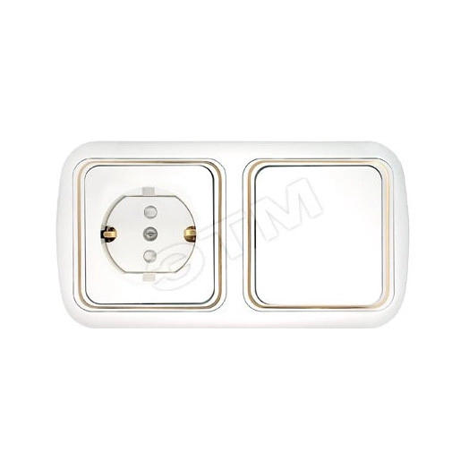 Беларусь блок 1-кл выкл+розетка зк с/шВ-РЦ-557