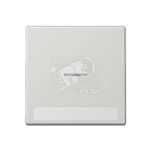 Клавиша для  выключателя с подсветкой и полем для надписи  светло-серая