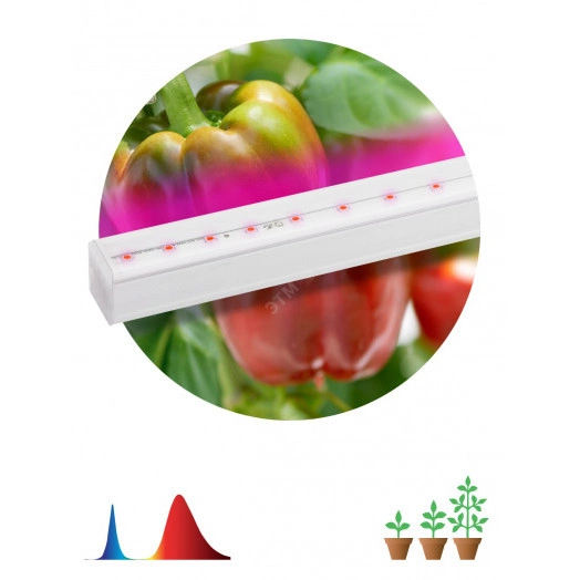 Линейный светильник красно-синего спектраFITO-16W-Т5-N (30/840) ЭРА