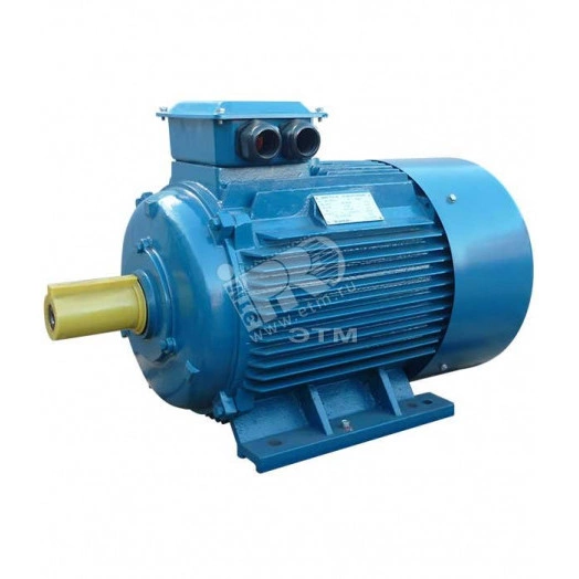 Электродвигатель 5АИ 250 S4 75/1500  IM 1001  Кита