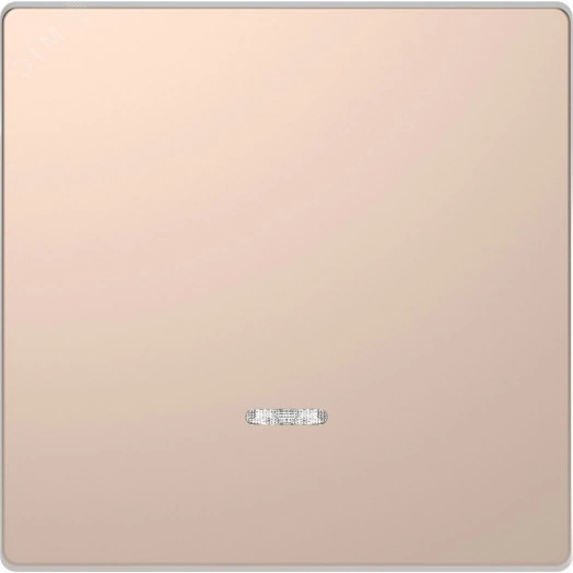 Клавиша одинарная D-Life с линзой для LED модуля шампань SD