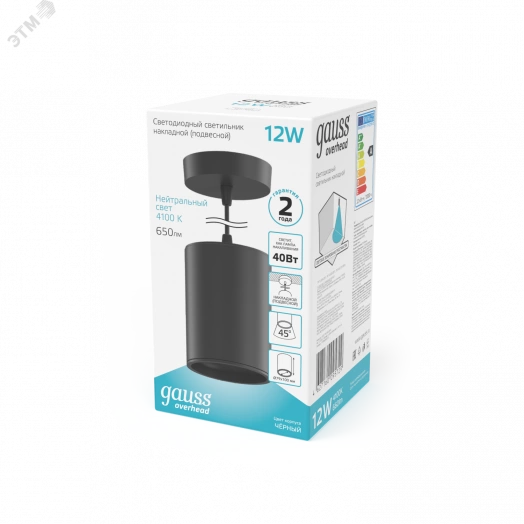 Светильник светодиодный ДПО 12 Вт 650 Лм 4100К цилинндр на подвесе 170-240 В 79х100 мм IP20 черный LED Overhead Gauss