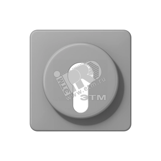 Крышка для выключателя с замком  серая