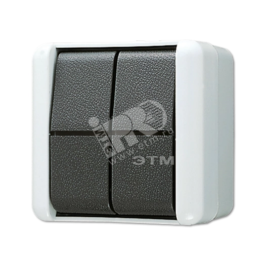 Кнопка сдвоенная 10AX 250V накладная IP44