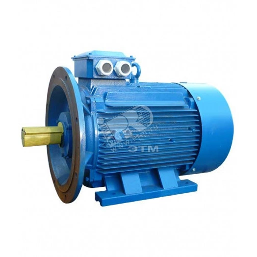 Электродвигатель 5АИ 280 S4 110/1500  IM 2001  Китай