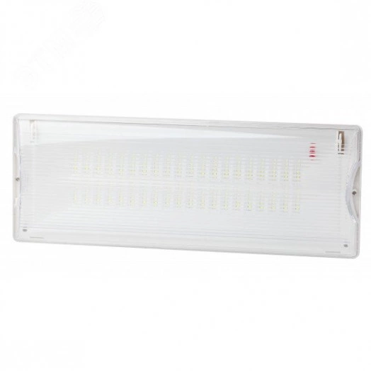 Аварийный светильник DPA-301-1-65 постоянный 40LED 3ч IP65 NiCD