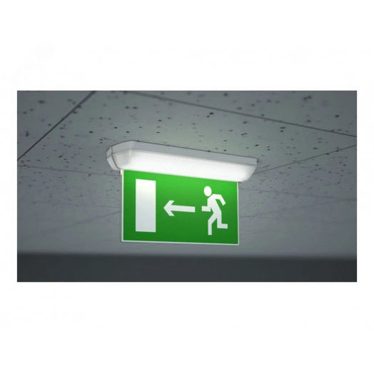 Светильник аварийный светодиодный TLM2 OL EM0 1часLED 450лм 5000K IP54