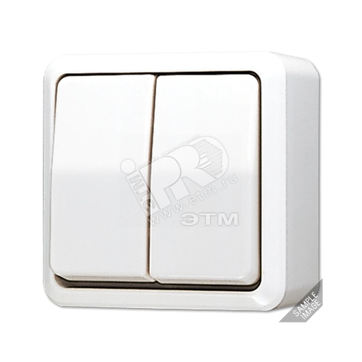 Выключатель для накладного монтажа сдвоенный  слоновая кость