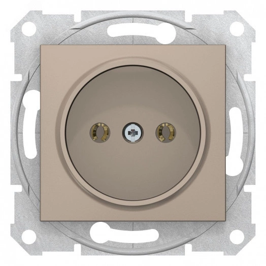 Розетка без заземления без шторок титан