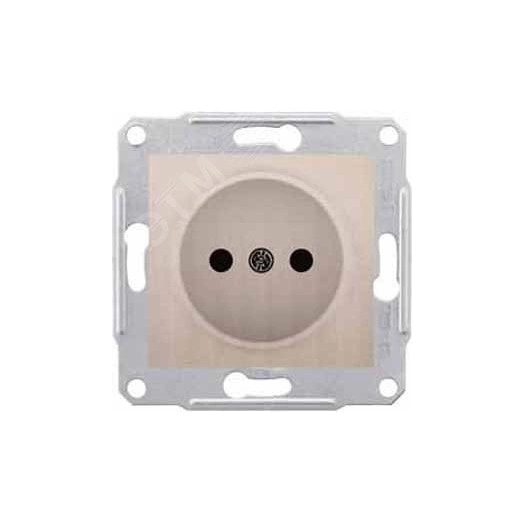 Розетка без заземления без шторок титан