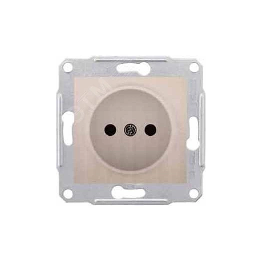 Розетка без заземления без шторок титан