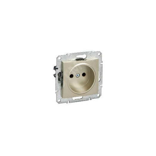 Розетка без заземления без шторок титан