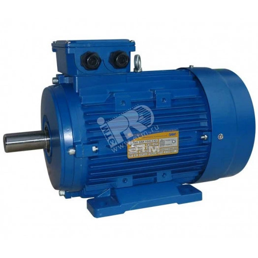 Электродвигатель 5АИ 100 S4 3/1500 IM1081