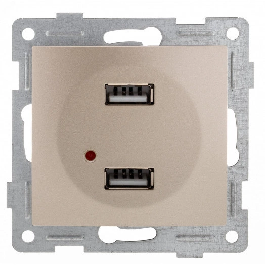 Bravo Розетка USB, двойная, скрытая установка.  шампань