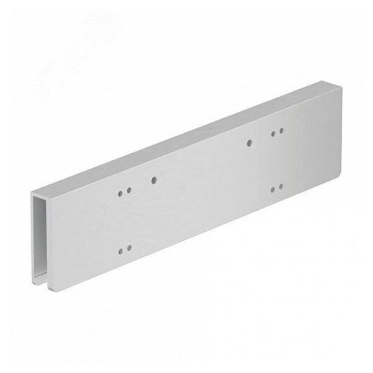 Пластина монтажная TS 92 XEA для установки на цельностеклянную дверь RAL P000