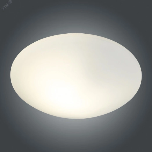 Светильник НПО-22-2х60-210 Полусфера Б 300 опал матовый