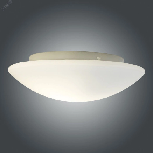 Светильник НПО-22-2х60-210 Полусфера Б 300 опал матовый