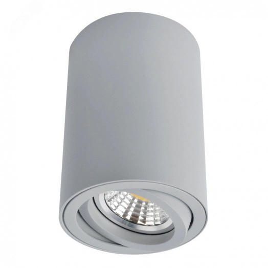 Светильник Arte Lamp SENTRY A1560PL-1GY