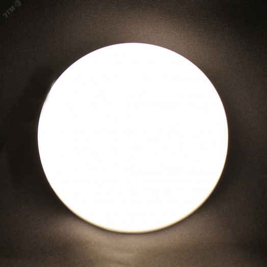 Светильник LED-А ф85 ДПО 02-012-001 4000К1100лм круг ИУ