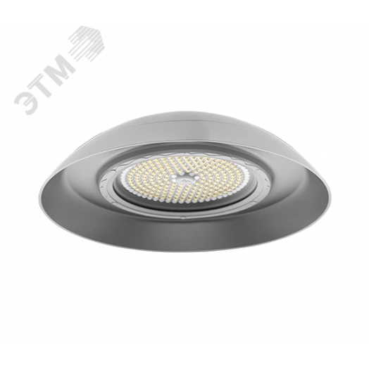 Светильник ДСП-06-200-002 Moon 750 (1199520002)