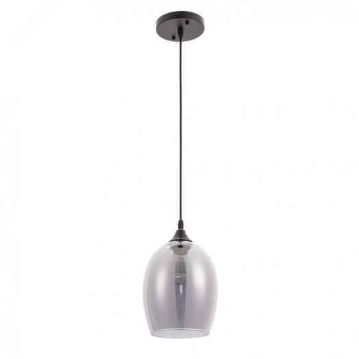 Светильник Arte Lamp PROPUS A4344SP-1BK (A4344SP-1BK)
