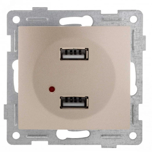 GUSI Bravo механизм розетки USB,  двойной,  скрытая  установка. Цвет  золото.