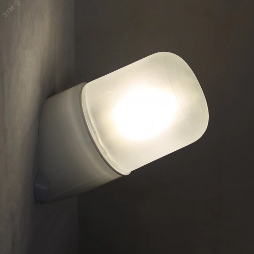 Светильник Линда 110 НББ 19-40-002 IP65 t=125град. матовыйкорпус наклонный опал. ГИ