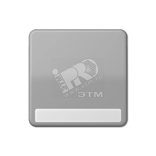 Клавиша для выключателя и кнопки с полем для надписи серая