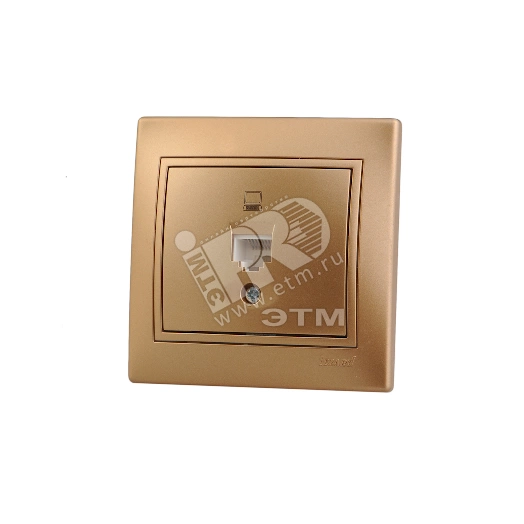 Мира Розетка компьютерная металлик золото с вставкой