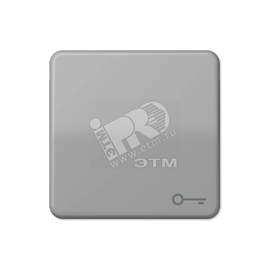 Клавиша с символом  ключ   серая