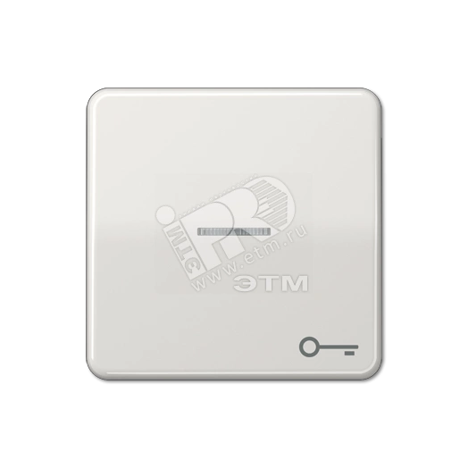 Клавиша с окошком и символом  ключ  для выключателей с подсветкой  светло-серая