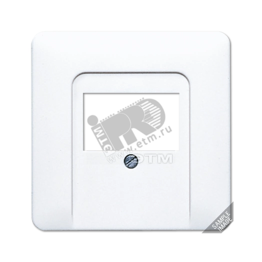 Крышка для ТАЕ розетки  платина