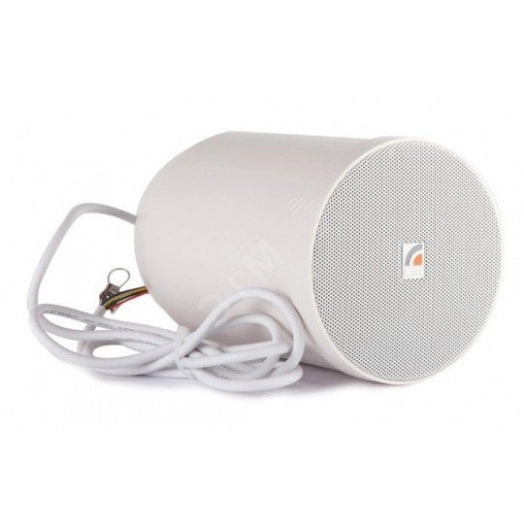 Громкоговоритель подвесной SP-20T