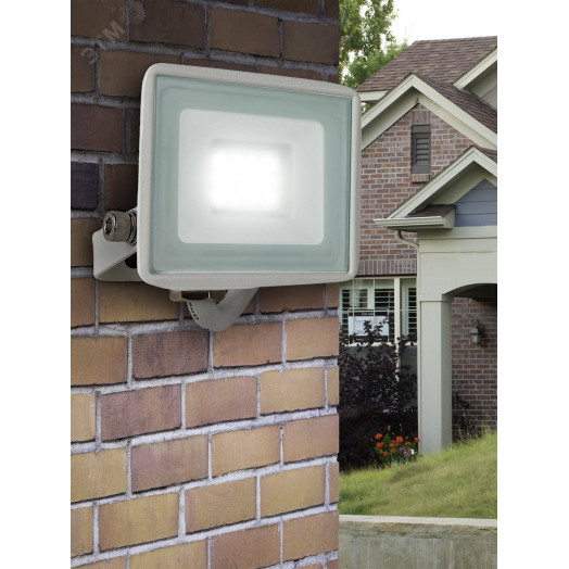 Прожектор светодиодный уличный LPR-023-W-65K-010 10Вт 6500K 800Лм IP65 белый ЭРА