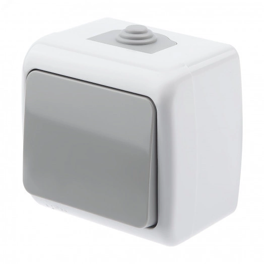 Выключатель Intro Atlantic 5-101-03 10А-250В, IP54, открытой установки, серый ЭРА