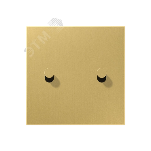 Плата центральная, 1 пост, 2 тумблера, конус, металл, латунь classic, LS1912