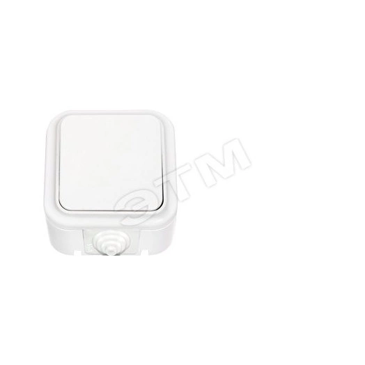 Беларусь Выключатель одноклавишный IP 44 на 2-направления наружный А6 10-868