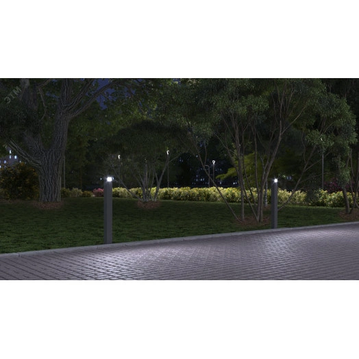 Светильник LED БОЛАРД (СТУ) 3Вт 180Лм 4,0К КСС Ш3 прозрачный рассеиватель IP65 высота 200мм