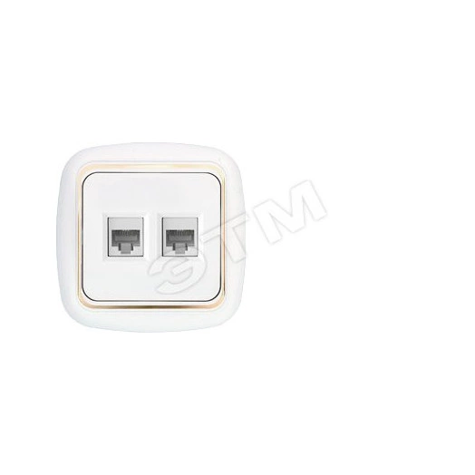 Беларусь розетка компютерная двухместная РК 216-003