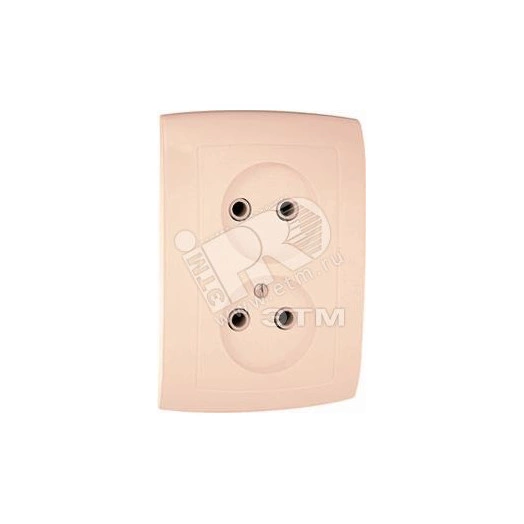 Елизавета Розетка 2 поста скрытая слоновая кость РС10-409