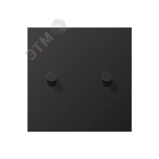 Плата центральная для выключателей, 1 пост, 2 тумблера, конус, металл, dark, LS1912