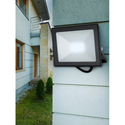 Прожектор светодиодный уличный LPR-024-0-65K-050 50Вт 6500К 4000Лм IP65 ЭРА