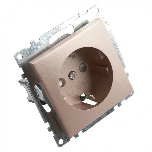 Розетка 1-местная с/з, шампань