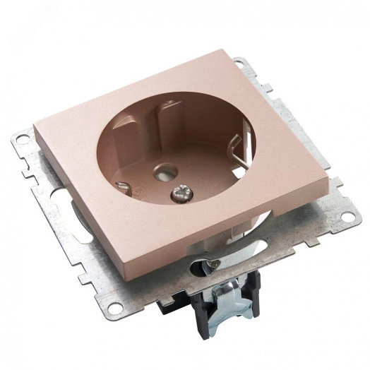 Розетка 1-местная с/з, шампань