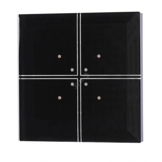 Модуль управления по радиоканалу FW-GS4-24B